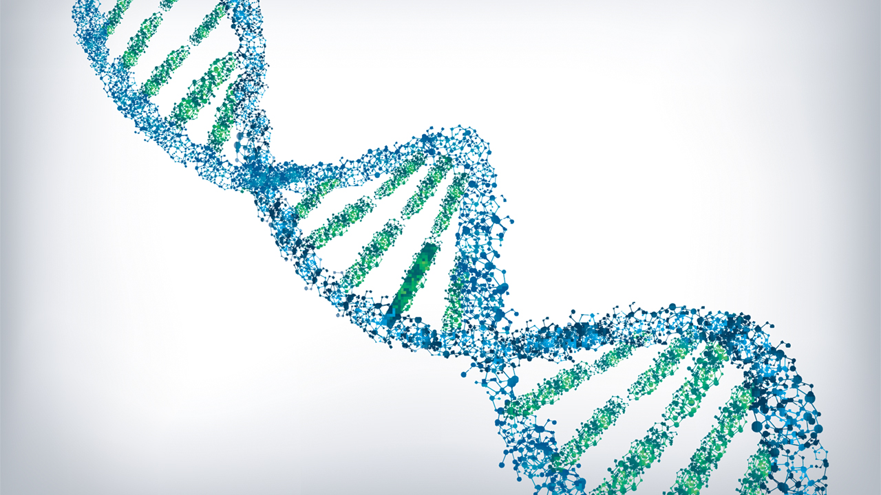 Longevity Okulu Aylık Seminerleri - 1 / Ocak 2025